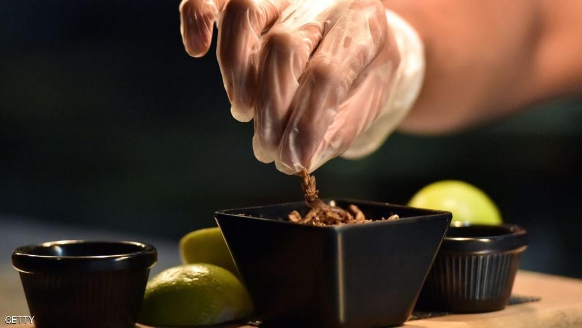 شركة بلجيكية تسعى لثورة بعالم الطهي.. عبر الصراصير 
