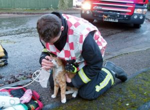 خدمة الإطفاء تستخدم أقنعة أوكسجين خاصة للحيوانات الأليفة التي تنقذها من الحرائق 