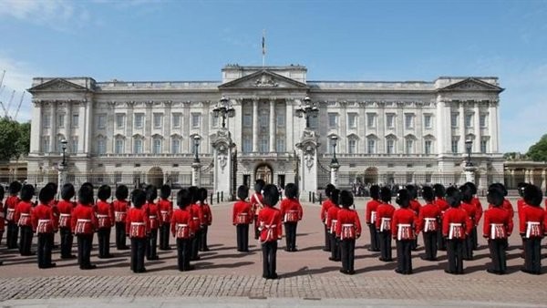 الفئران تغزو قصر الملكة إليزابيث في لندن!! 