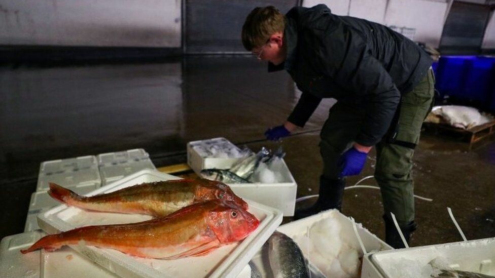 تجارة ما بعد بريكست : بوريس جونسون يدعو إلى حملة أكل الأسماك البريطانية! 