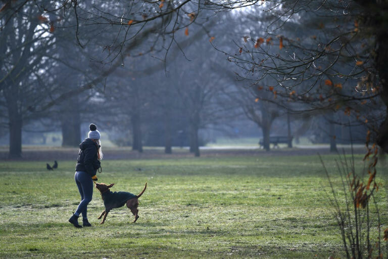 حملة في بريطانيا من أجل تغريم من يتجول بكلبه بطقس غير مناسب بـ30 ألف إسترليني 