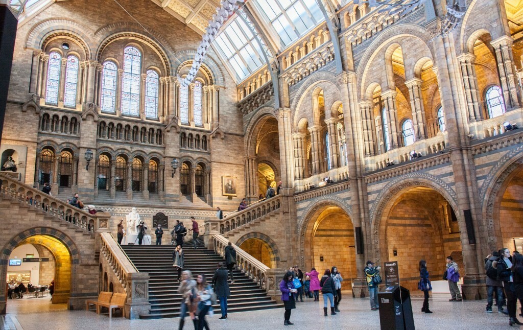 دليل أهم متاحف لندن التي ينصح بزيارتها 