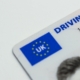 بريطانيا.. DVLA تطالب بتجديد رخصة القيادة هذا الأسبوع لتجنب غرامة بـ 1000 إسترليني 