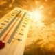 تحذيرات من موجة حر في المملكة المتحدة قد تصل الحرارة فيها إلى  40 درجة مئوية 