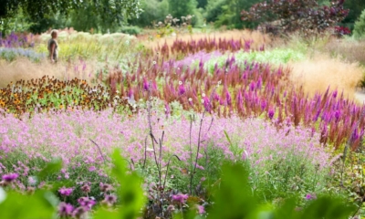 أفضل 10 حدائق فريدة من نوعها في بريطانيا..تعرف عليها 