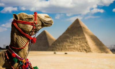 ألق الحضارة وسحر الطبيعة.. مصر تتصدر الوجهات السياحية المفضلة للسعوديين 