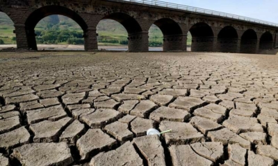 الجفاف يسيطر على 8 مناطق في بريطانيا رسمياً.. ودعوات لترشيد استهلاك الماء 