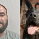 رجل يعض كلب.. والشرطة البريطانية تقضي بسجنه 8 أشهر 