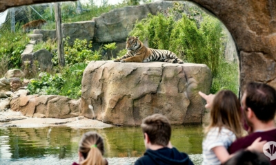 تعرف على أجمل حدائق الحيوان العالمية لزيارتها! 