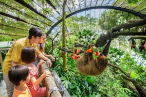تعرف على أجمل حدائق الحيوان العالمية لزيارتها! 