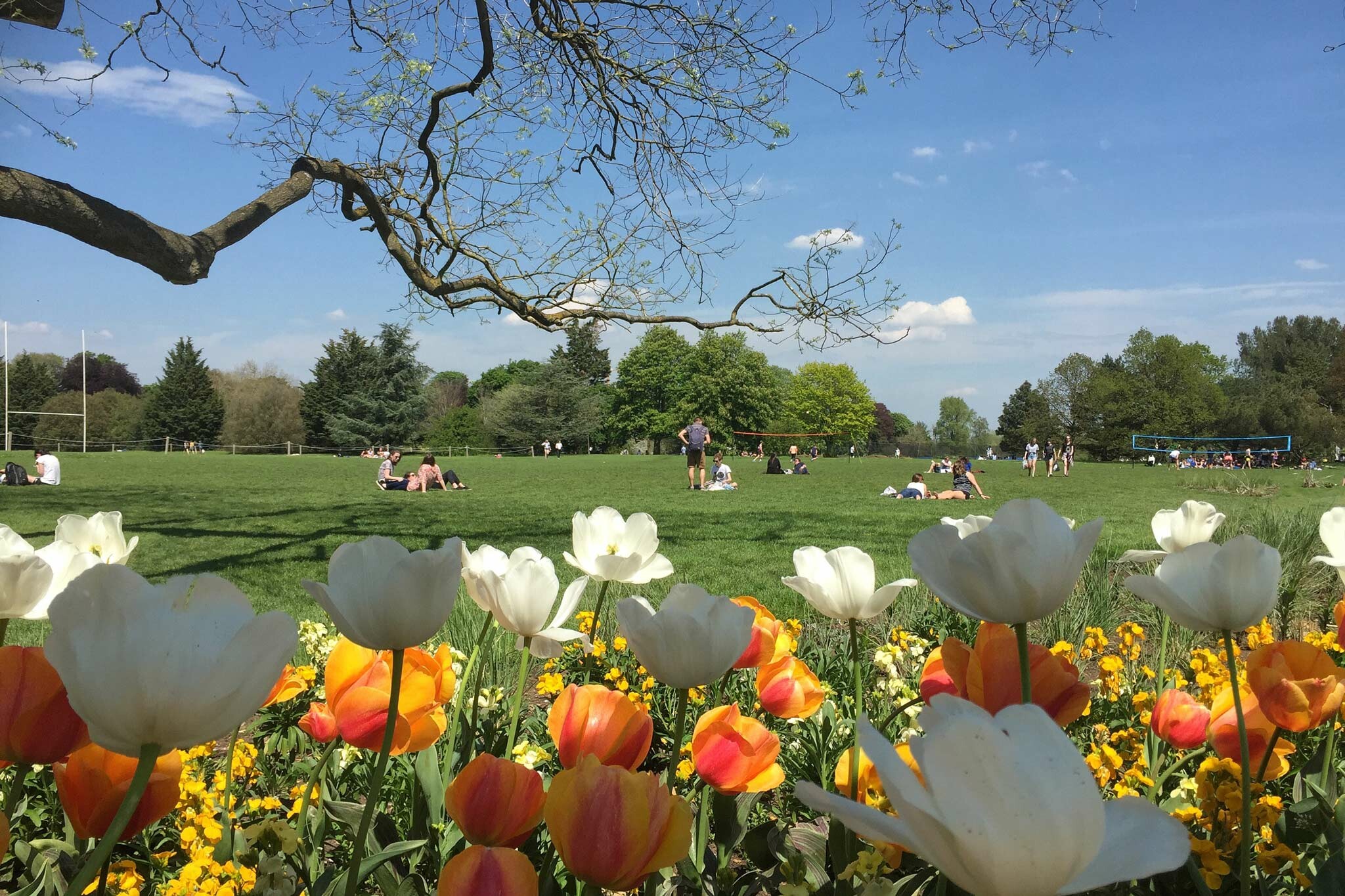تعرف على أجمل حدائق أوكسفورد التي ننصح بزيارتها 