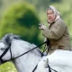 متجاوزاً العادات الملكية.. ملك بريطانيا يقرر يبيع 12 خيل من خيول الملكة الراحلة 
