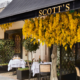 "Scott’s" مطعم المشاهير المفضل في لندن.. سيكون بانتظاركم في الرياض 