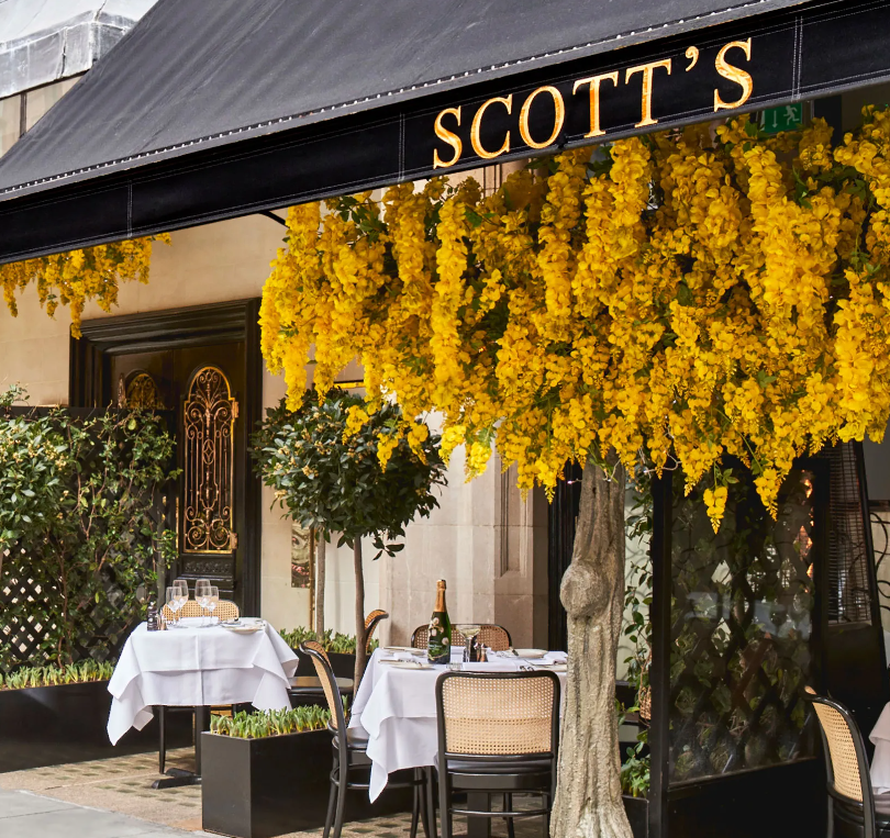 "Scott’s" مطعم المشاهير المفضل في لندن.. سيكون بانتظاركم في الرياض 