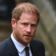الأمير هاري يمثل أمام المحكمة العليا في لندن فما القصة؟ 