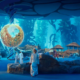 "سي وورلد أبو ظبي" وجهة ترفيهية مخصصة للحياة البحرية.. إليكم أفضل التجارب في عالم تحت الماء 