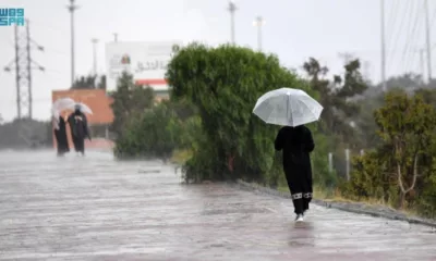 خريف 2023 في السعودية: فرصة هطول أمطار أعلى من المعتاد 