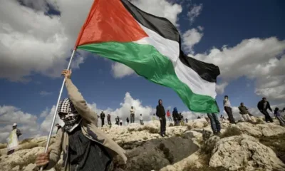 أصوات فلسطين.. حدث ثقافي وإنساني في لندن لمناقشة الوضع في غزة 