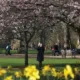 لندن في الربيع... تعرف على سحرها والأنشطة التي يمكنك القيام بها 