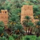 ما تريد معرفته عن منصة فطري ودورها بالسياحة البيئية في السعودية 