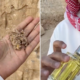 مصمم عطور سعودي شاب يقتبس الروائح من بيوت نجد القديمة في المملكة العربية السعودية 