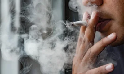 التدخين يرفع معدلات سرطان الكبد والكلى في المملكة المتحدة: دراسة حديثة تحذر 