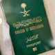 دعم للتنمية والابتكار.. المملكة تمنح الجنسية السعودية للعلماء والباحثين 