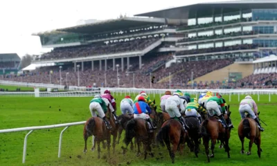 مهرجان «شلتنهام» Cheltenham 2025: أكثر من مجرد سباق خيول  