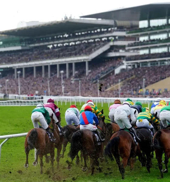 مهرجان «شلتنهام» Cheltenham 2025: أكثر من مجرد سباق خيول  