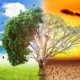 مواجهة التغير المناخي وبريطانيا  