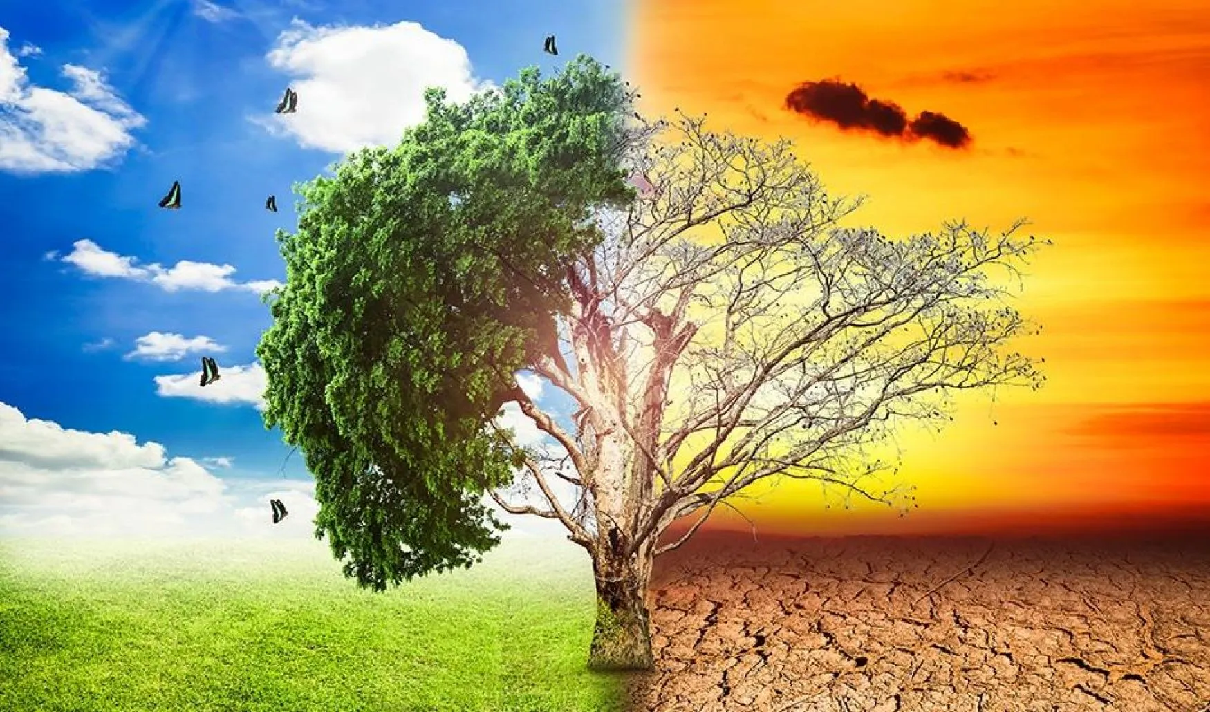 مواجهة التغير المناخي وبريطانيا  