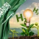 Hydrogen Synthesis: In 2021, Saudi Arabia initiated development efforts aimed at competing in the clean energy market.