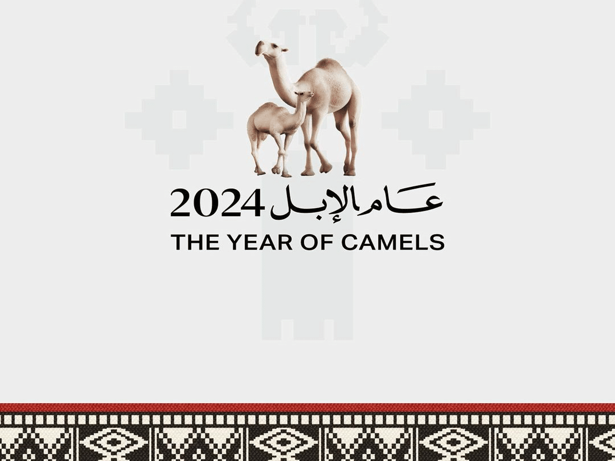 The Camel Year Festival 2024 will take place in Riyadh from Dec 24 to 30, showcasing camels as a component of the Kingdom's cultural legacy.