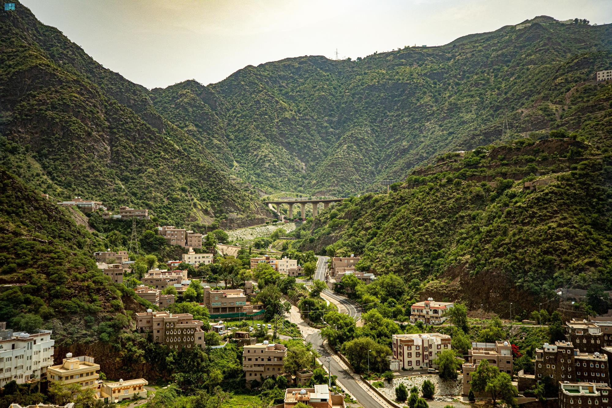 In the Asir region in the southwest of the Kingdom, golden dunes meet verdant plateaus, and mountain peaks meet spotless beaches.